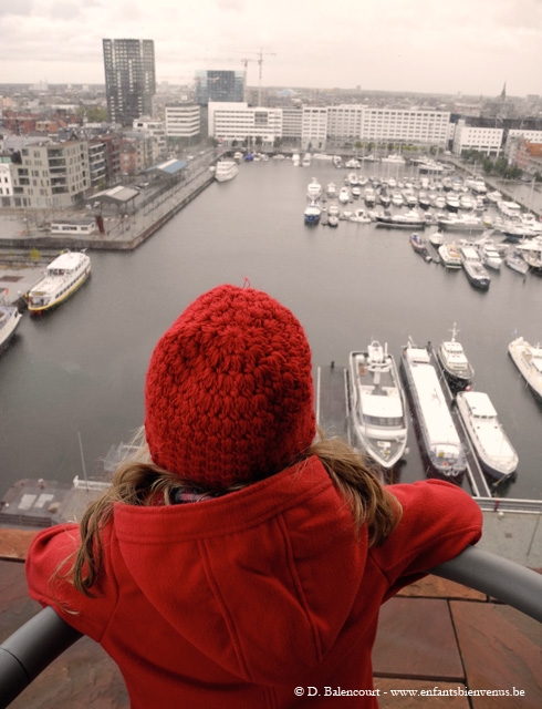 Anvers, musée, port, grue, diamant, architecture, vue, panorama
