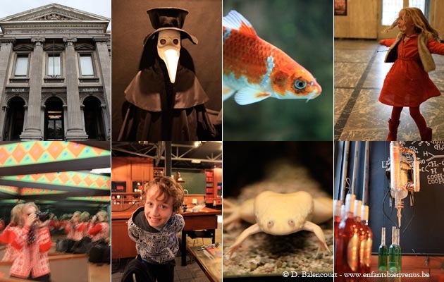 gratuit, aquarium, coup de coeur, étape, Liège, Muséum, science, poisson, animaux